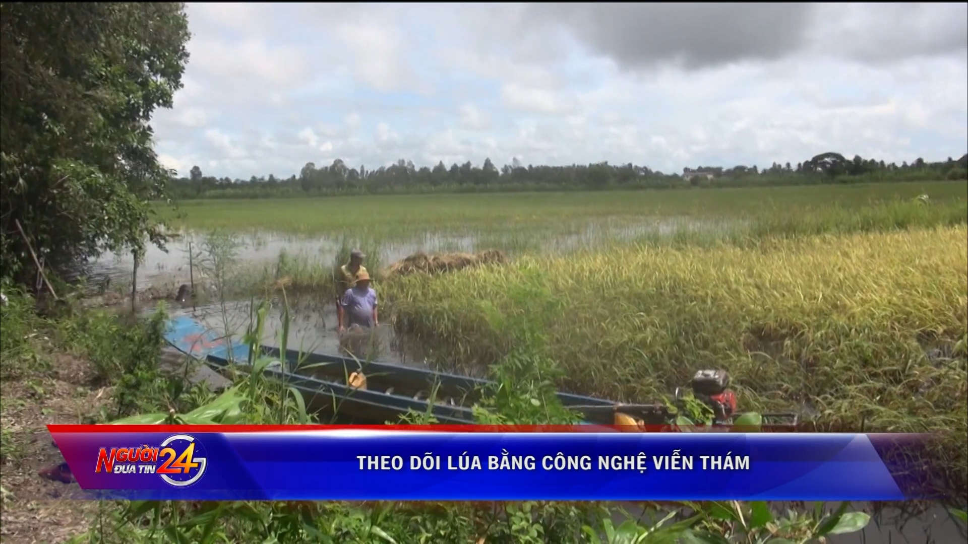 Thoi su Sang---Truc tiep THVL1---2019_11_13---05_55_00---161